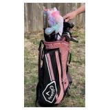 Set of Ping Golf Clubs