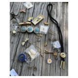 Jewelry and Pins