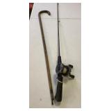 Fishing Rod & Walking Cane