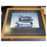 Decoy Print