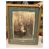 26" x 31" Framed Deer Print