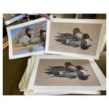 Large Lot of Artist Signed Duck Prints