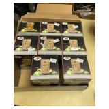 Solar Camp Lanterns