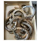 20 - Horseshoes