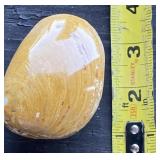 Fossilized Clam