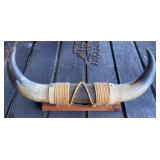21" Steer Horns