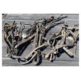 Horse Tack, Harness