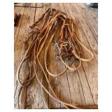 Bridles, Reins and Bits