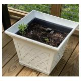 2 - Flower Pots