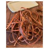 Reins and Bridles