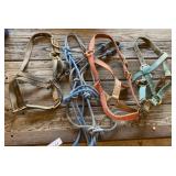 Horse Halters