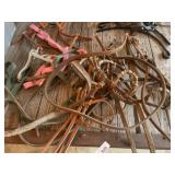 Reins, Bridles, Bits