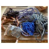 Rope, Halters, New Webbing