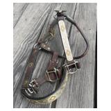 Show Halter