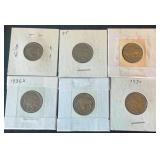 6 Nice Buffalo Nickels in Holders