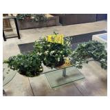 3 - Ivy Baskets and Wall Art