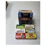 700+ rnds .22LR Ammo