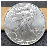 2023 Silver Eagle