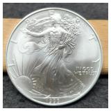 1993 Silver Eagle