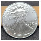 2023 Silver Eagle