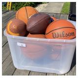 Tote Full of Sports Balls