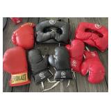 Boxing and Sparring Gloves