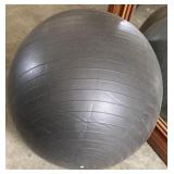 Live Infinity Exercise Ball