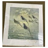 DuPont Powder Duck Print