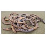 16- 5" Iron Horse Shoes