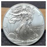 2013 Silver Eagle