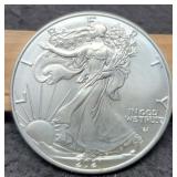 2021 T2 Silver Eagle