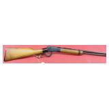 Savage 89 .22 SLLR Rifle