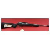 Ruger 10/22 .22 LR Rifle