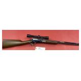 Henry Arms Pump 22 .22 Mag Rifle