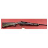 Ruger 10/22 .22 LR Rifle