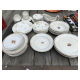 Ironstone Tea Leaf and Haviland Dishes