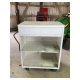 Rolling Shop Cabinet
