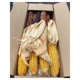 Ear Corn including Indian Corn