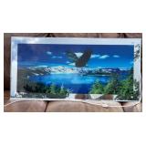 Lighted American Eagle Mirror