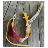 Safety Belt/Harness