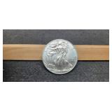 2011 Silver Eagle