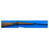 Romania,CAI Cugir .22 LR Rifle