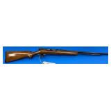 Ranger Semi Auto .22 LR Rifle
