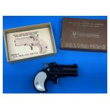 Davis Ind D-22 .22 LR Pistol