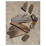 8pcs Flat Driftwood & Tree Knots