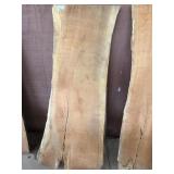65" tall Live Edge Wood Slab