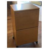 2 Drawer File Cabinet on Rollers