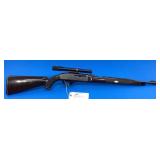 Remington Nylon 66 .22 LR