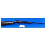 Remington 514 .22 LR Shot