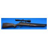 Crosman 392PA .22 Cal Air Rifle